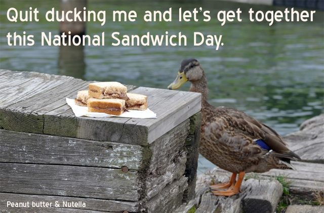 duckcard.jpg