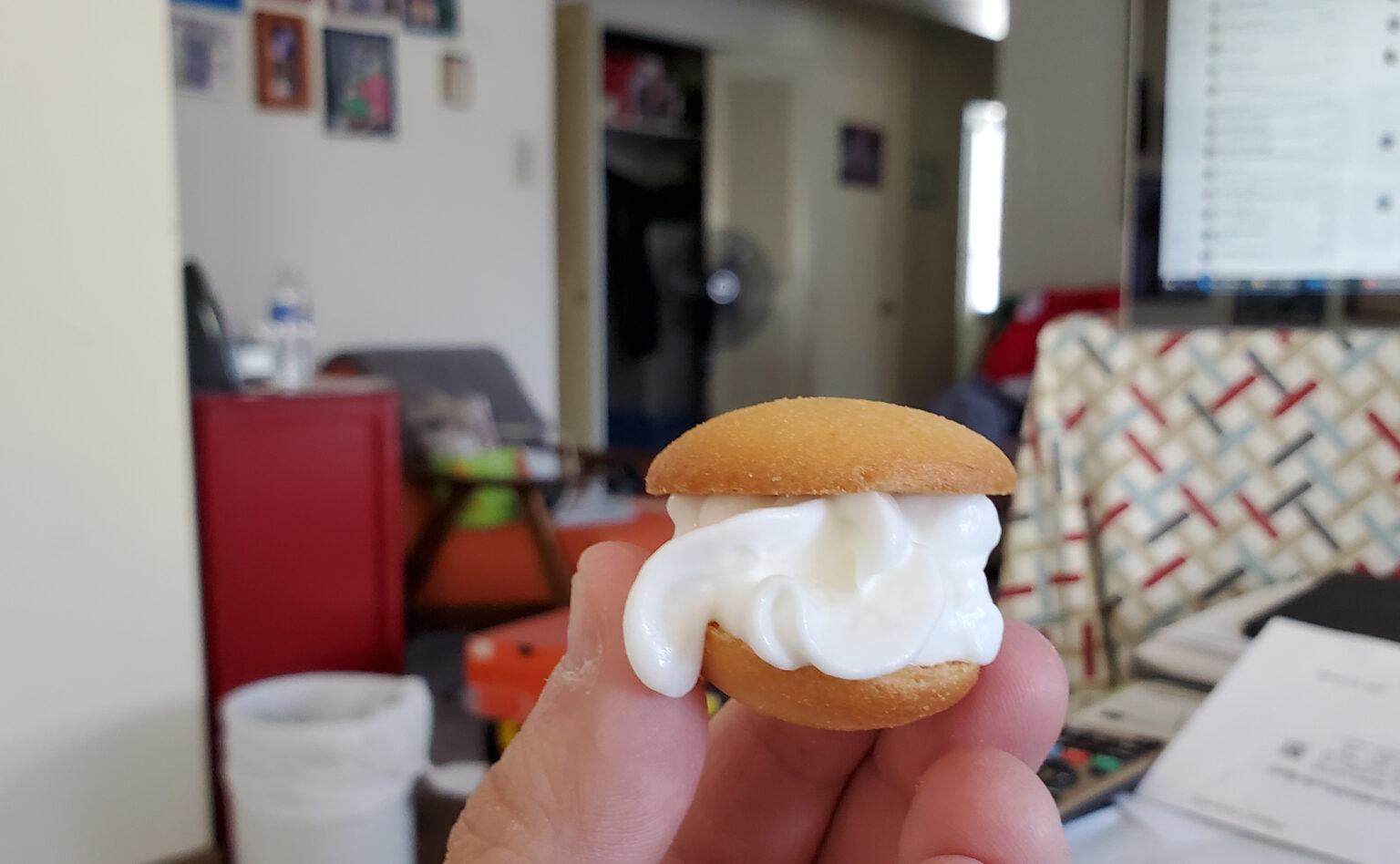 Whipped Cream On Nilla Wafers Sandwich Portraits